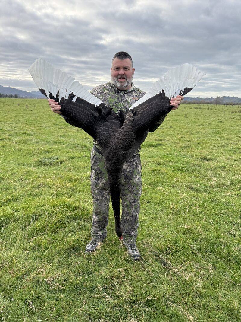 Hunter holding a black swan with its wings spread on open pasture