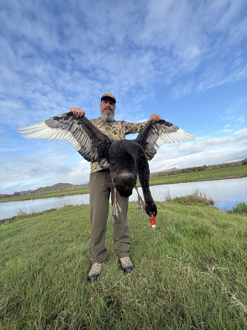 Hunter holding a black swan with its wings spread beside a pond