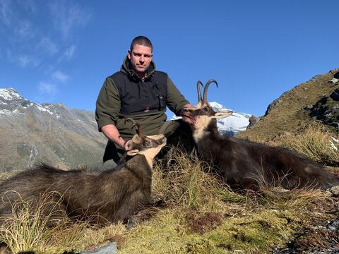 Hunter with two chamois under a bluebird sky