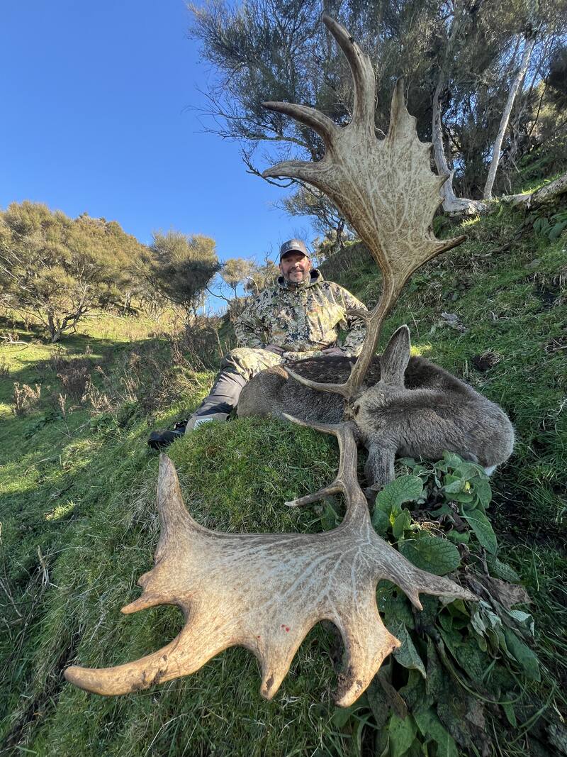 Hunter with a big-palmed fallow buck against a clear blue sky