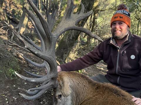 Hunter with a dark-antlered red stag taken in the bush