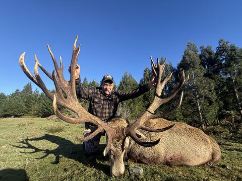 Hunter behind a massive red stag under a blue sky
