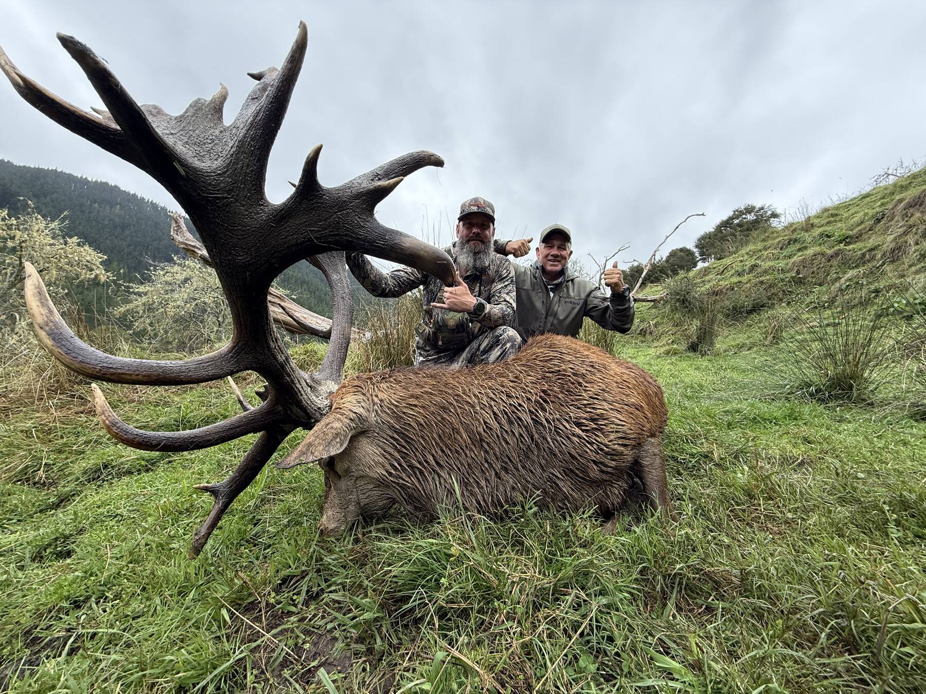 Two hunters with a big red stag trophy on a green New Zealand hillside