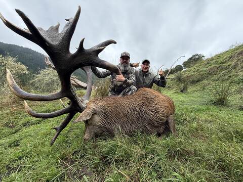 Two hunters with a big red stag on a green hillside