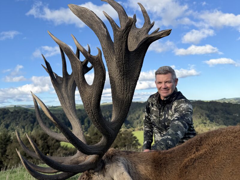 Hunter with a heavy-antlered red stag above a forested valley