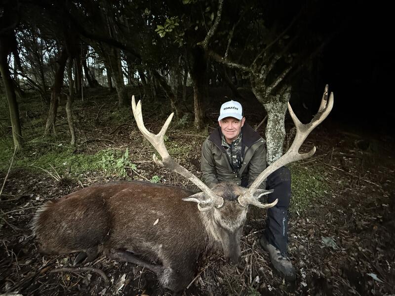 Hunter with a heavy-antlered sika stag taken in the bush