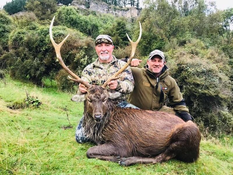 Two hunters with a sika stag on a green hillside