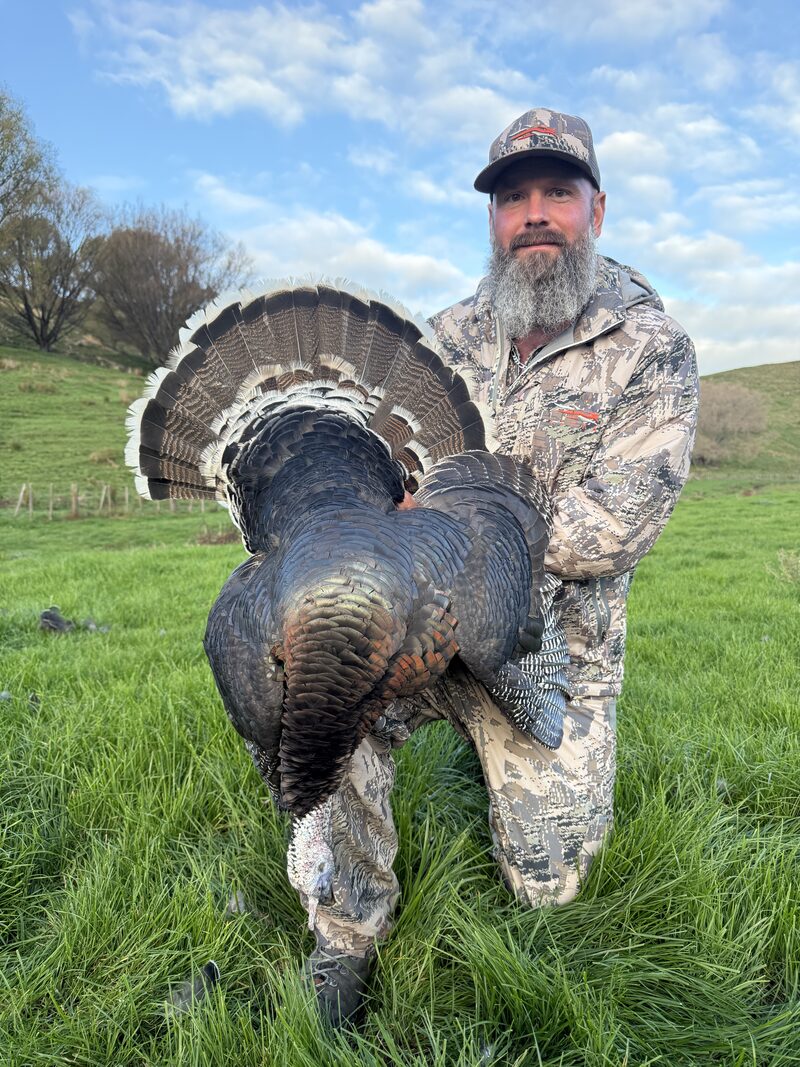 Hunter holding a wild turkey with its tail fanned wide