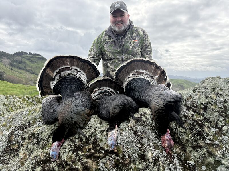 Hunter behind three fanned wild turkeys laid across a rock